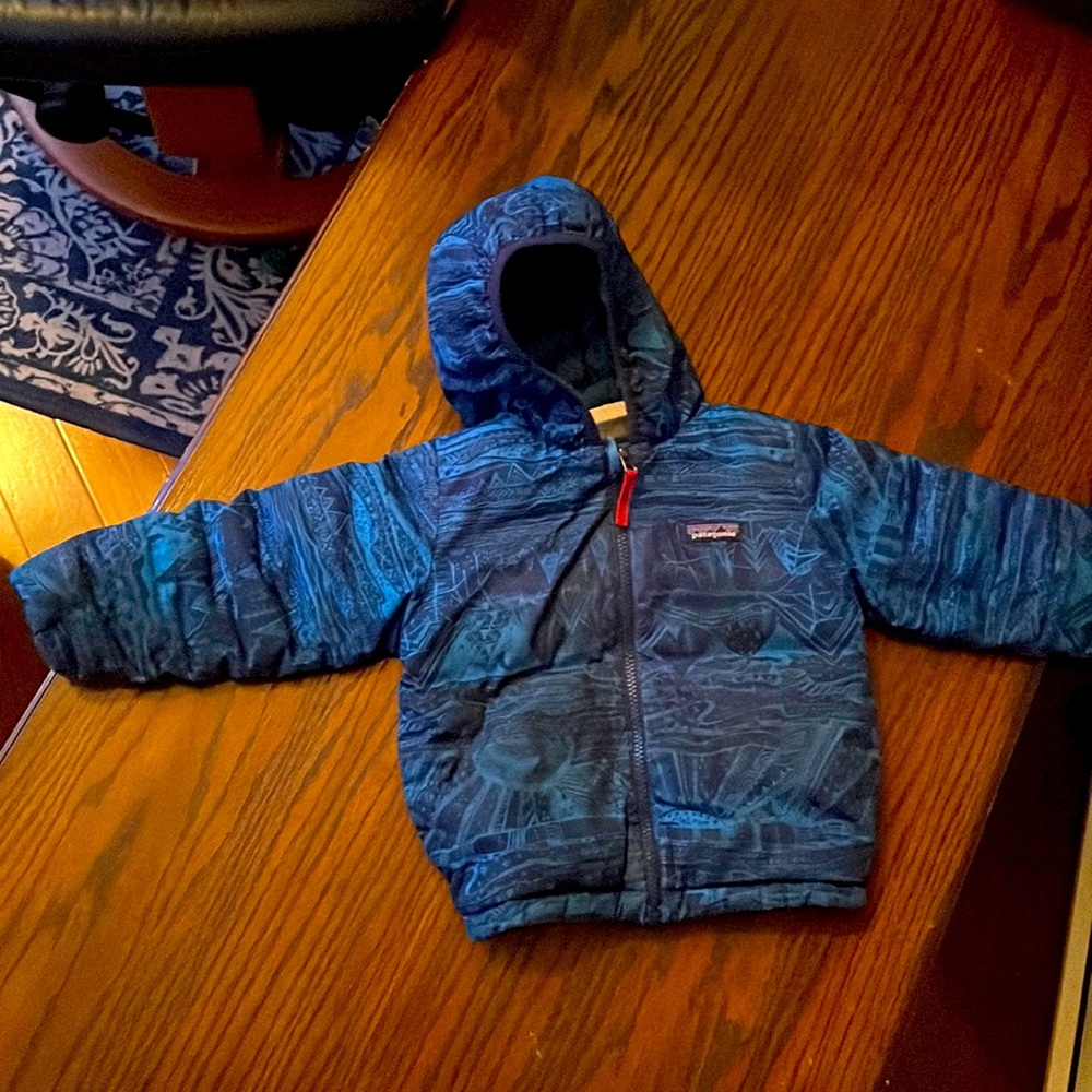 Patagonia reversible down sweater with hood